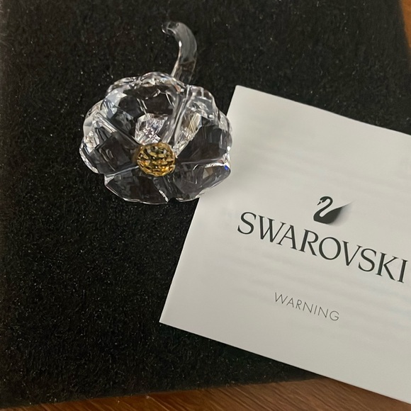 Swarovski Other - Swarofski crystal club piece
